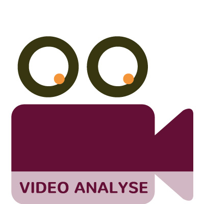 video analyse